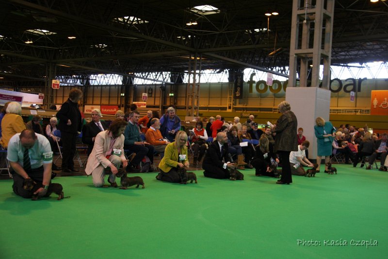 Crufts2010 760.jpg